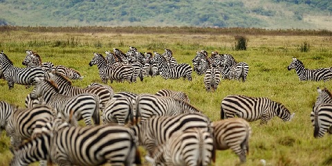 best and most affordable mid-range tours in tanzania 
